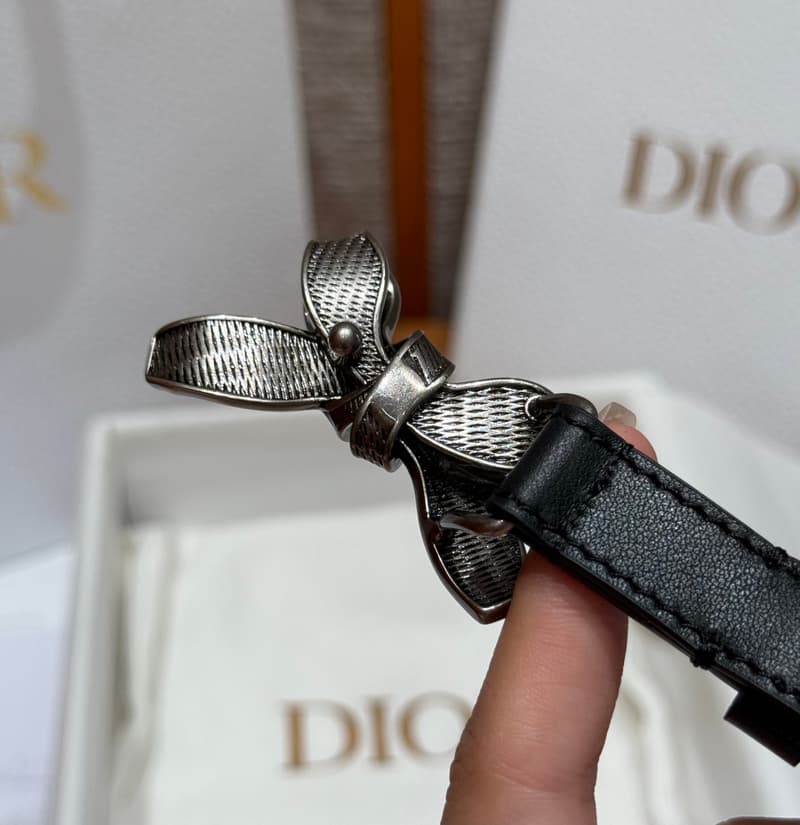 디올 르 누드 드 디올 벨트 20mm 5
