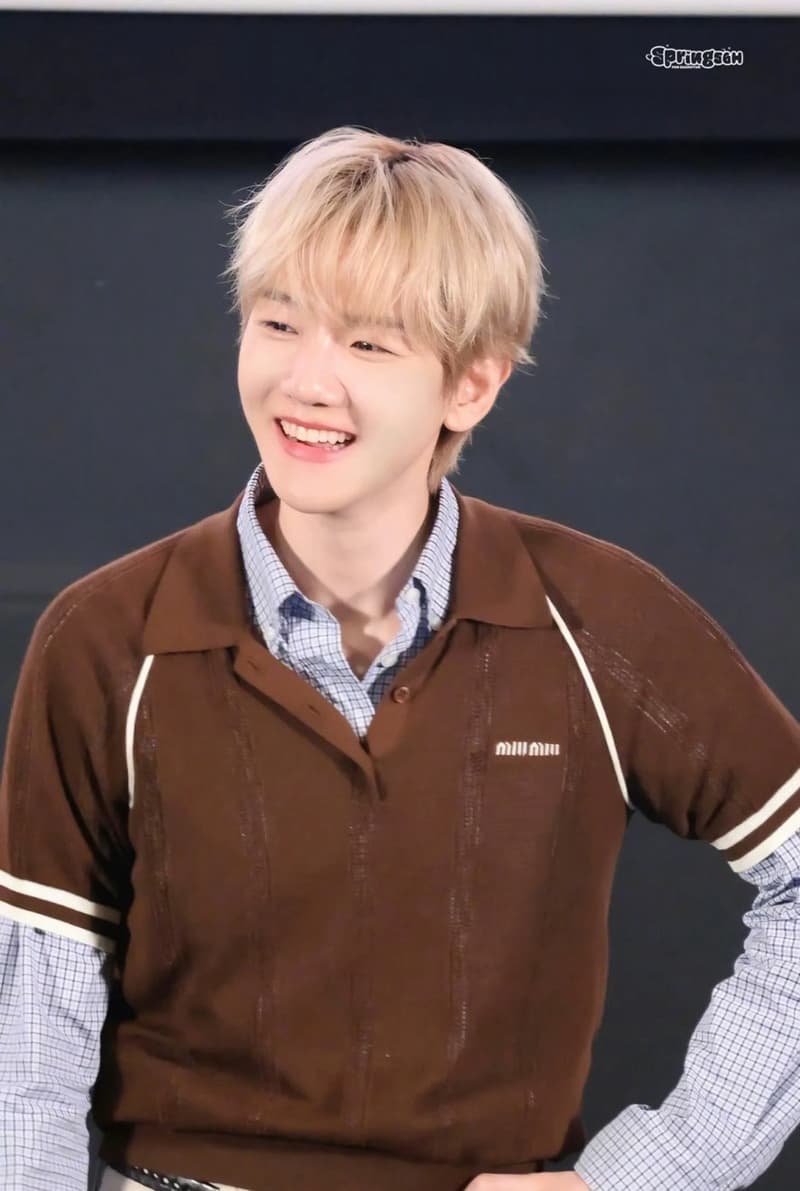 미우미우 복고 브라운 배색 폴로 니트 반팔 8