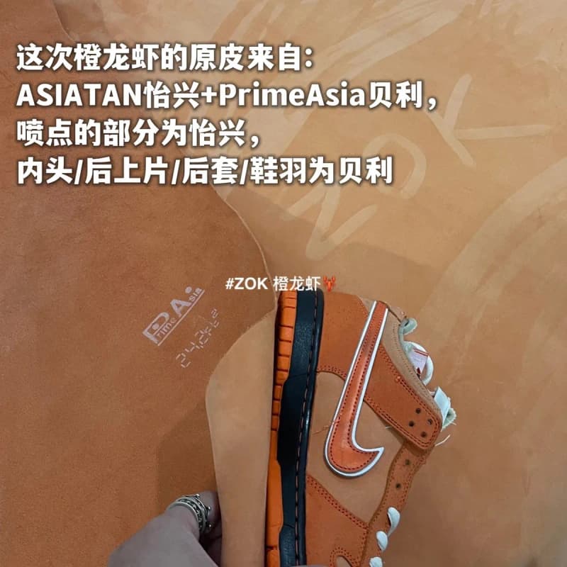 나이키 SB 던크 로우 x 컨셉츠 오렌지 랍스터 12