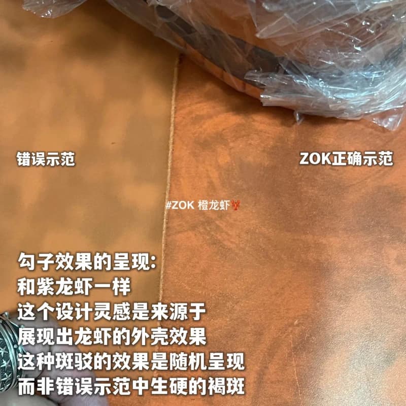 나이키 SB 던크 로우 x 컨셉츠 오렌지 랍스터 15