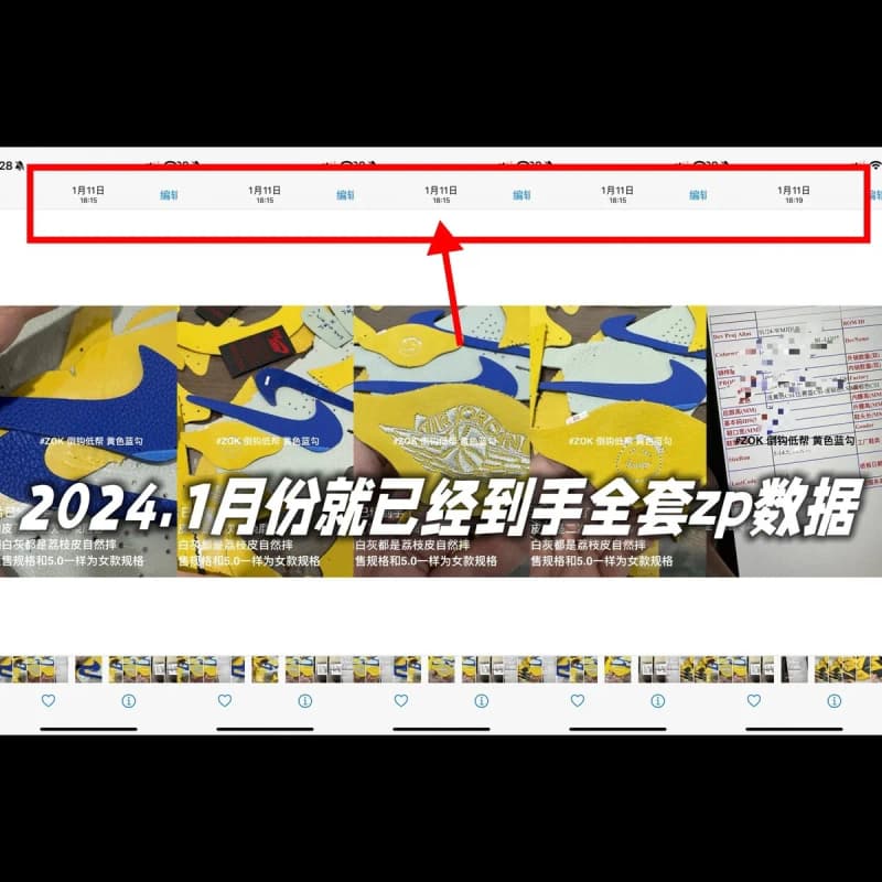 나이키 SB 덩크 로우 TS 인버티드 (금사작) 6