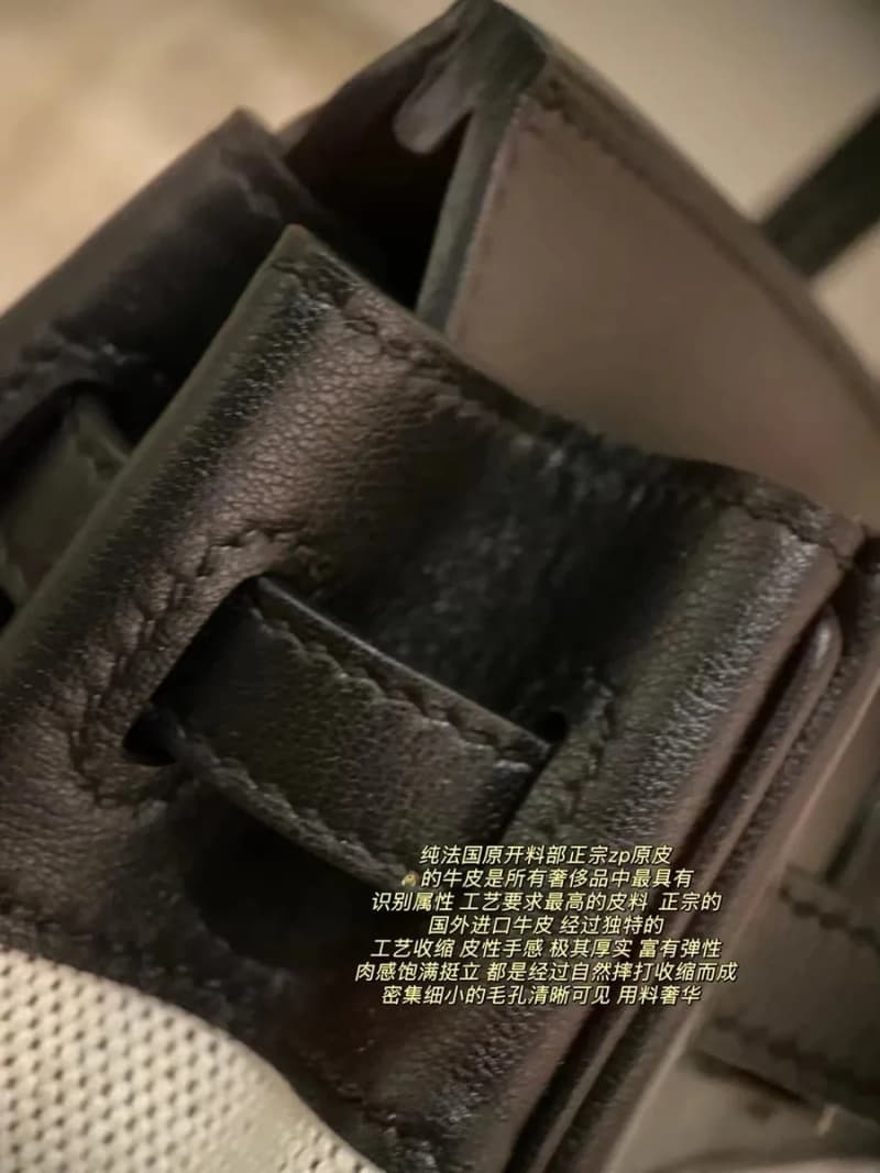 에르메스 버킨 25 투알 (팬더 블랙 실버) 21