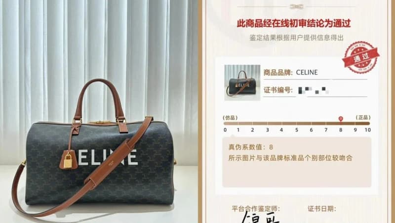 셀린느 트리옹프 캔버스 트래블백 보스턴백 상세 1
