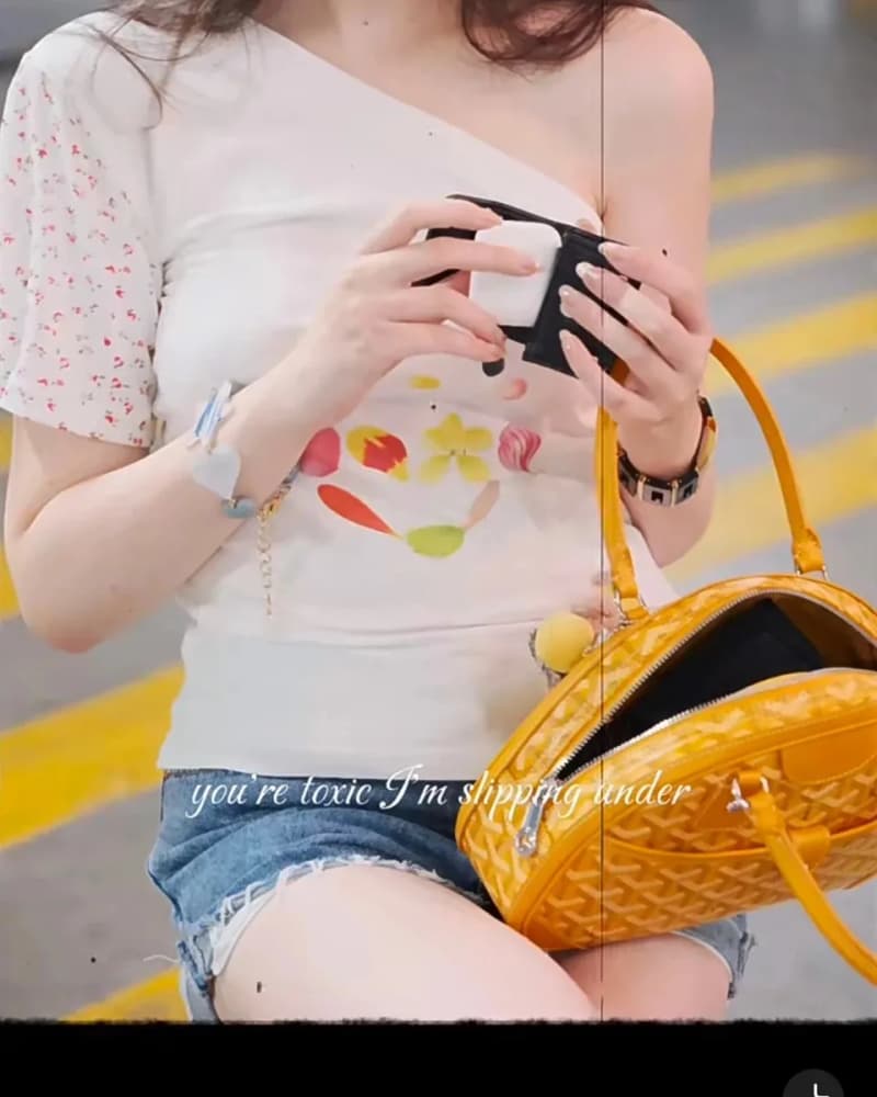 고야드 생잔 보울링백 빈티지 6