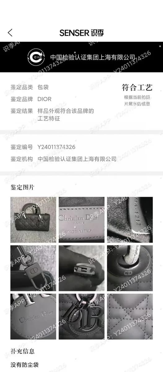 디올 레이디 디올 호리젠탈 스몰 (매트 카프스킨) 상세 1