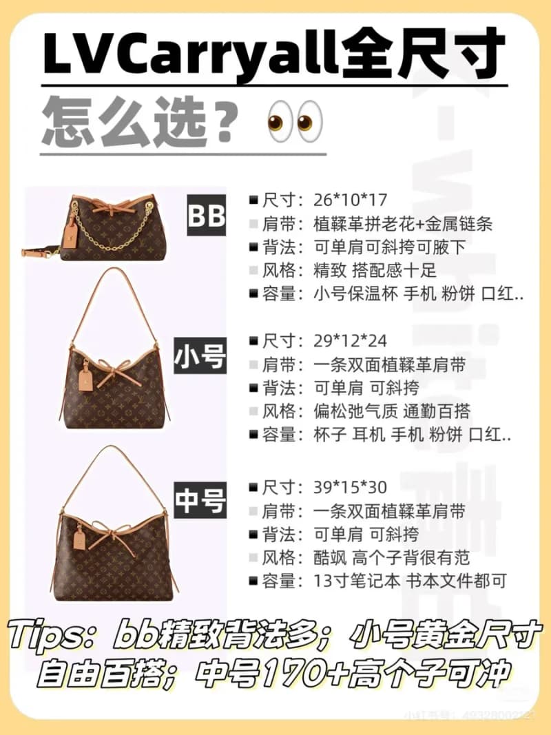 루이비통 카리올 스몰 (블랙 사무라이 램스킨) 10