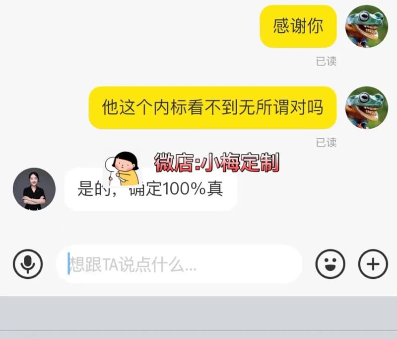 셀린느 카바 트리옴프 미니 토트백 상세 2