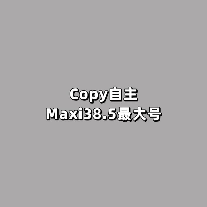 샤넬 최대형 맥시 플랩백 38.5 (에이징 카프스킨) 상세 1